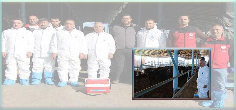 İL MÜDÜRÜMÜZ MEHMET SALİH SÖĞÜT AŞILAMA FAALİYETLERİNİ YERİNDE İNCELEDİ