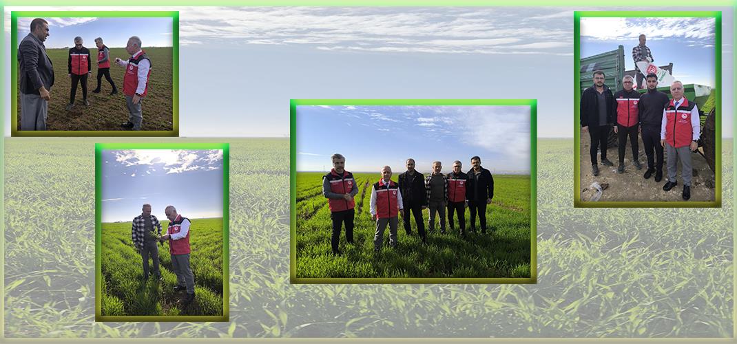 İL MÜDÜRÜMÜZ MEHMET SALİH SÖĞÜT, SAHA ZİYARETLERİNDE BULUNDU