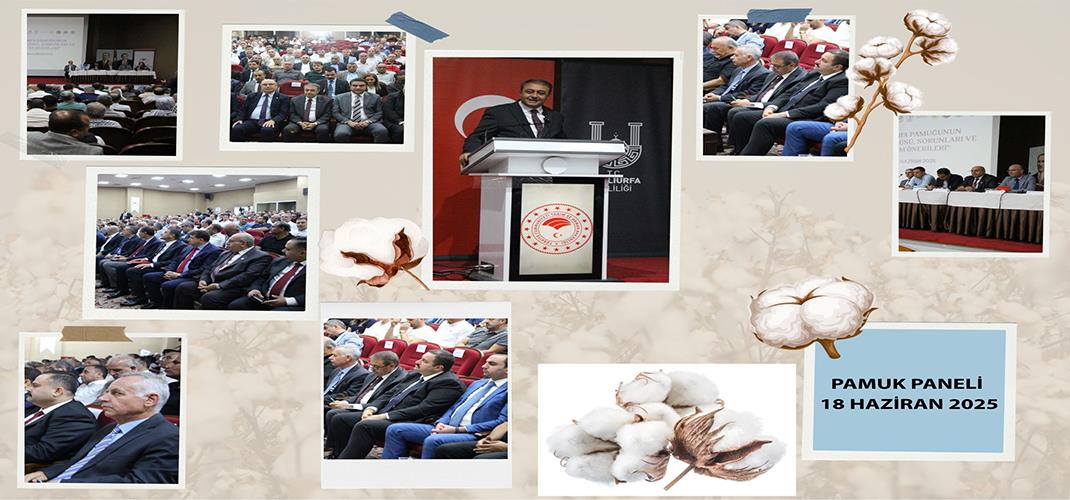Şanlıurfa Pamuğunun Dünü, Bugünü, Sorunları ve Çözüm Önerileri Paneli Düzenlendi